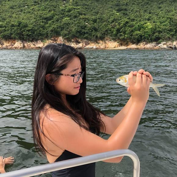 kacygao